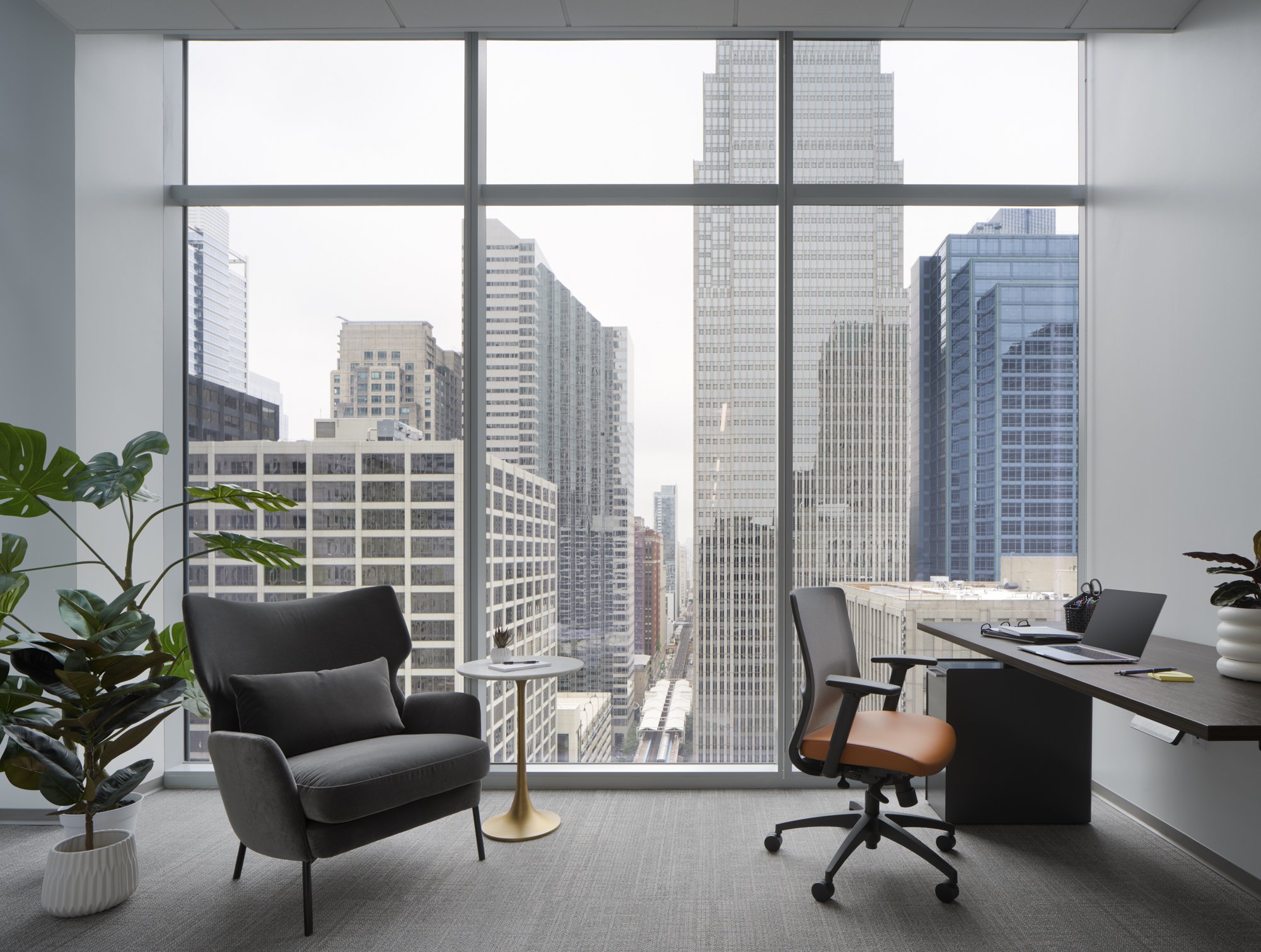 Professional Law Office